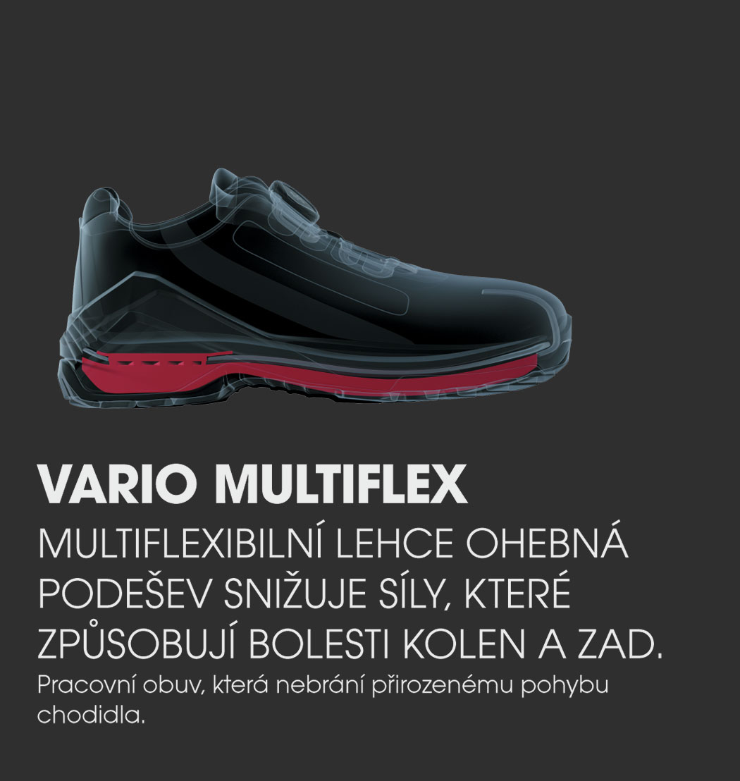 Multiflex_w.jpg